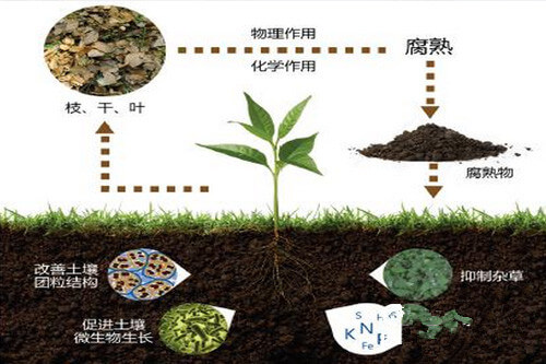 土壤有機(jī)質(zhì)對土壤肥力的七大作用